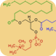 Lecithin